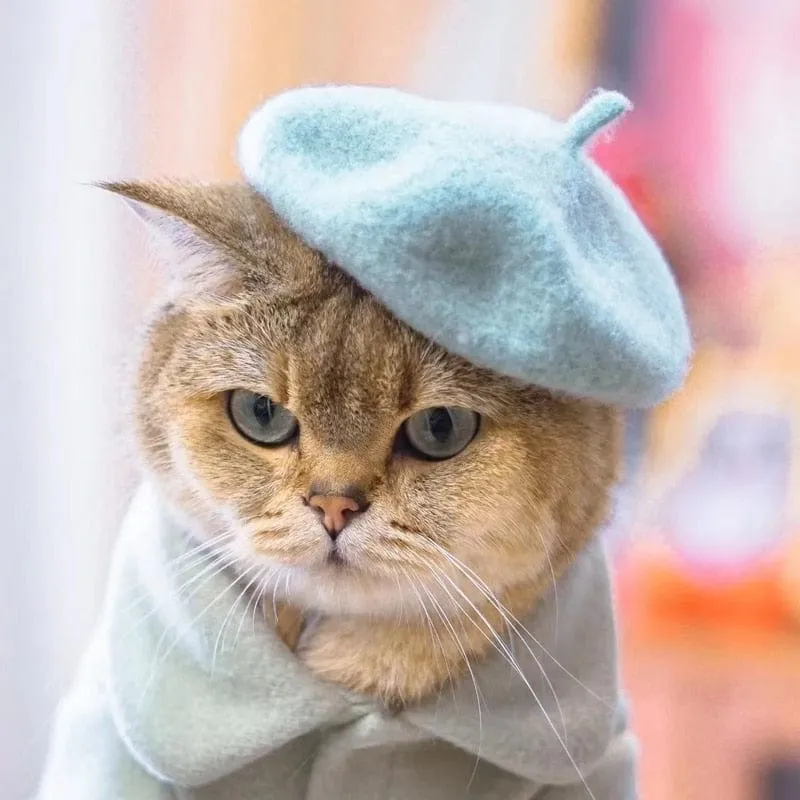 DIVA Pet - Chic Pet Beret in 9 Colors